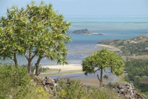Paysage au bord de mer à Rodrigues